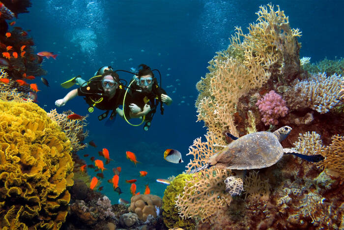 bali snorkeling, places to go in bali