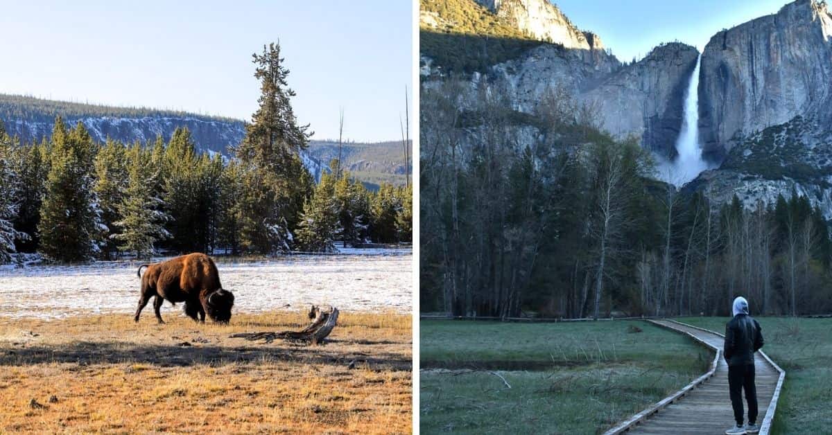 Yellowstone and Yosemite